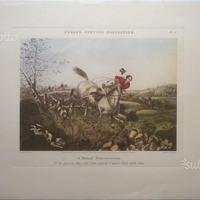 Stampe Riproduzioni Fores's Hunting Casualties
