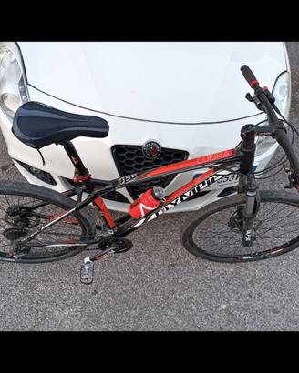 MTB Olympia