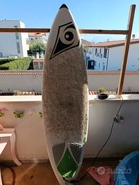 tavola surf