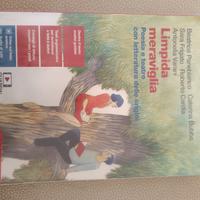 Libro: limpida meraviglia ISBN: 9788808411891