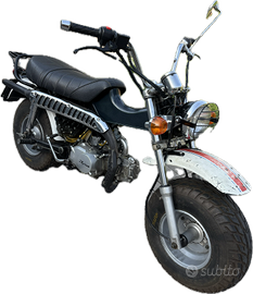 Skyteam T-rex 125