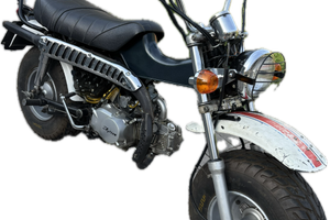 Skyteam T-rex 125