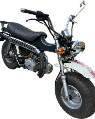 Skyteam T-rex 125