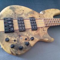 Basso elettrico Wood & Tronics Spectrum 4 