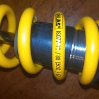 Ammortizzatore Ohlins