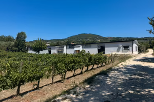 Capannone industriale 500 mq con ampio piazzale