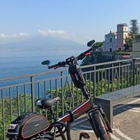 Bicicletta Elettrica GIAMA FASTER Lg 48V 14Ah