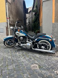 Harley springer