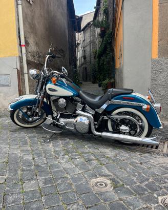 Harley springer