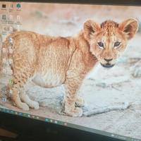 TV monitor LG 24 pollici da parete - con difetto