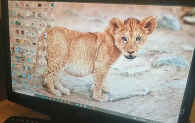 TV monitor LG 24 pollici da parete - con difetto