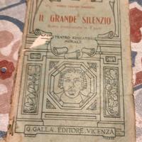 Il grande silenzio