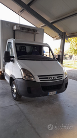 Iveco Daily con cella frigo no atp