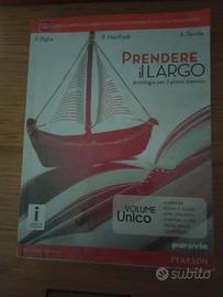 Libro scolastico usato 