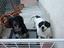 Immagine 4