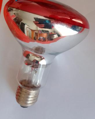 Infrarosse, lampadine Philips 