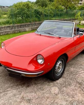 Alfa Spider Duetto TARGA ORO 
