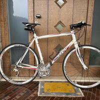 Bici da corsa - trekking