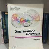 Organizzazione industriale