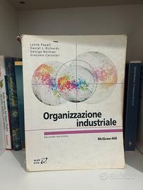Organizzazione industriale