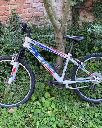 Bici Olmo 20’