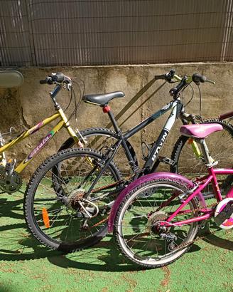 Biciclette per ragazzo/ragazza