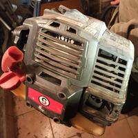 tosasiepi telescopico combinato sterwins