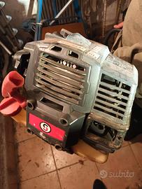 tosasiepi telescopico combinato sterwins