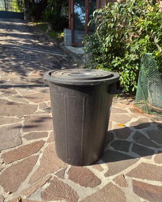 🗑️ Bidone Spazzatura, Grande Capienza, SOLO 25
