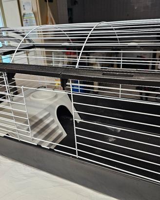 Gabbia cavie/coniglietti