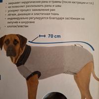 Body operatorio di protezione cani medio/grandi