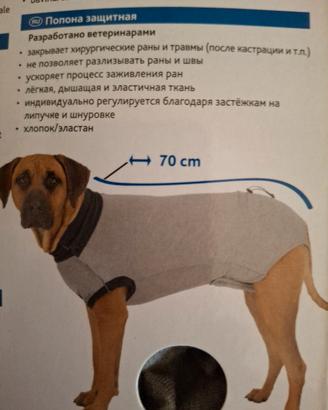 Body operatorio di protezione cani medio/grandi