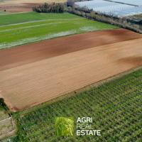 Terreno agricolo di 2,3 HA ideale per serre
