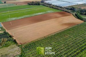 Terreno agricolo di 2,3 HA ideale per serre