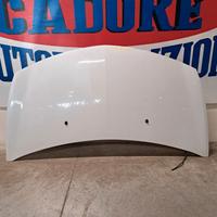 Cofano Renault Clio 3° Restyling 1.2 GPL del 2012