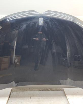 COFANO ANTERIORE CITROEN DS4 1° Serie 9822719680