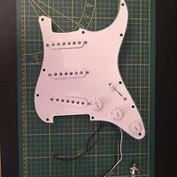 Battipenna Precablato Da Fender Stratocaster Playe