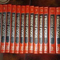 Enciclopedia Scuola 2000 14 volumi 