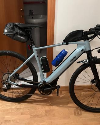 Bici  Gravel assistita