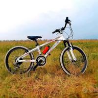 bici MTB 20