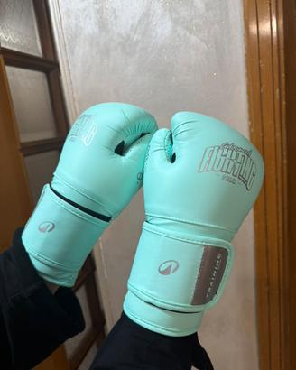 Guanti da box nuovi mai usati