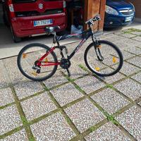 MTB NETBIKE BLUSTER 18 RAPPORTI