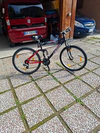 MTB NETBIKE BLUSTER 18 RAPPORTI