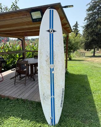 Tavola surf Bic mini malibu