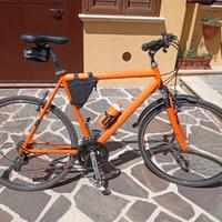 Bicicletta Vicini