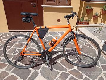 Bicicletta Vicini