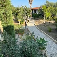 Lido Fiori villetta