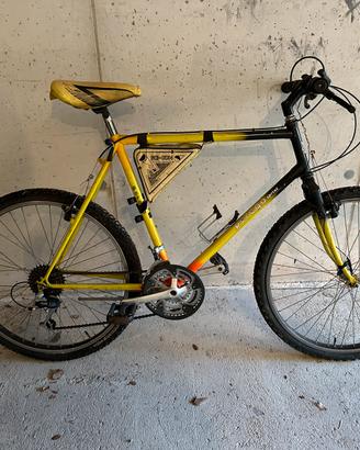 Bicicletta mountan bike