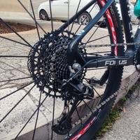 Bici Focus carbonio 