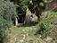 Immagine 7